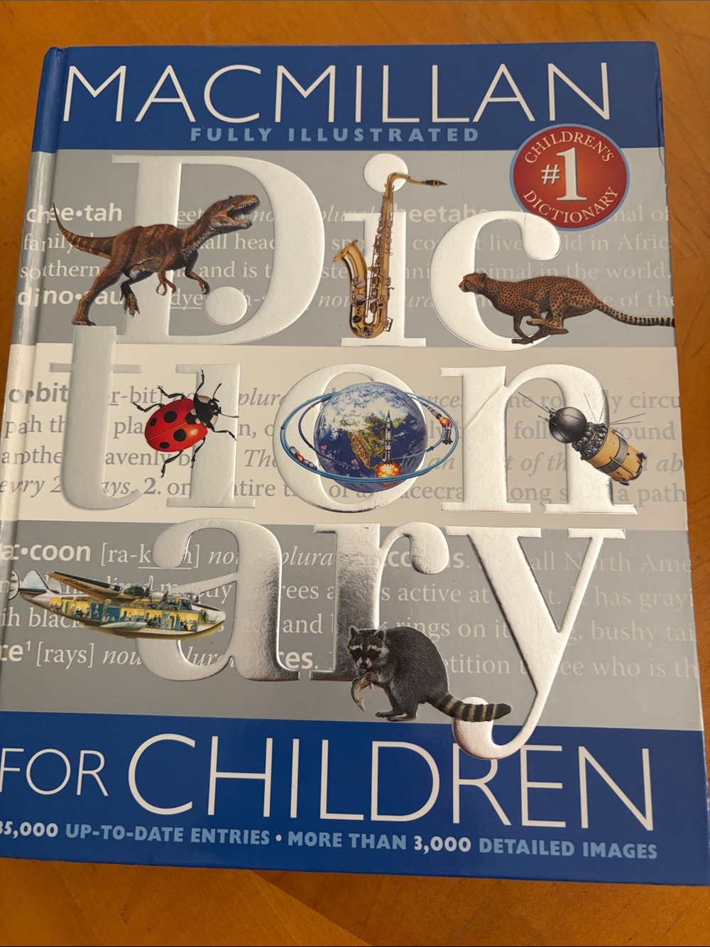 Macmillan Fully Illustrated Dictionary for Kids - Blue & Silver